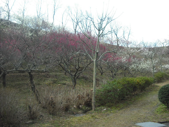 c0194042_21153184.jpg