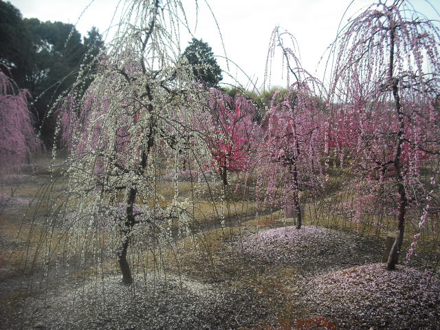 c0194042_212841.jpg