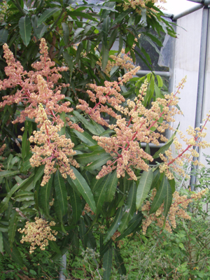 f0014842_15503460.jpg