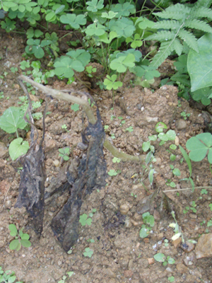 f0014842_15514294.jpg