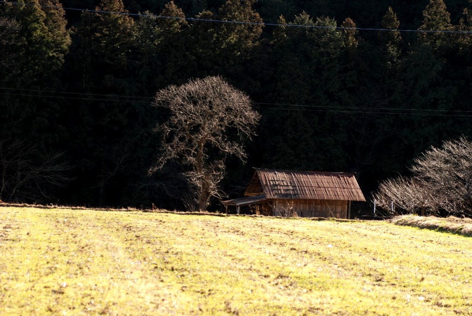 e0009147_17281733.jpg