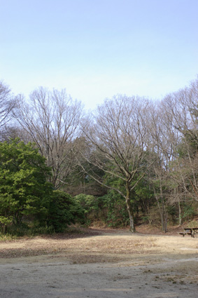 d0131851_910963.jpg