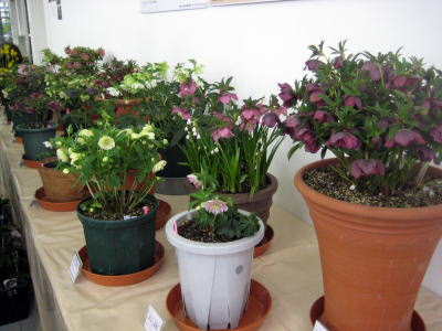 c0147952_21101039.jpg