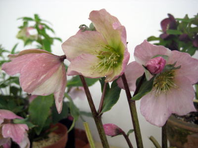 c0147952_21161328.jpg