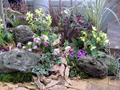 c0147952_2164176.jpg