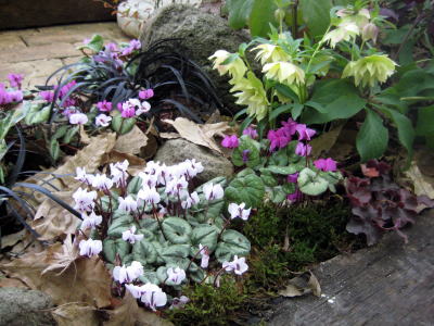 c0147952_2173187.jpg