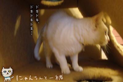 e0031853_22252777.jpg