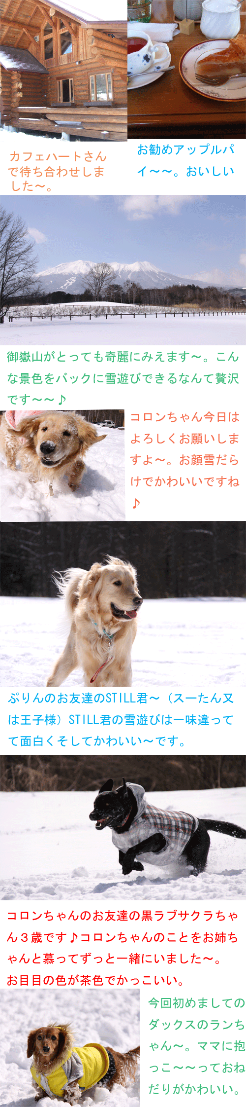 e0149256_22332050.gif