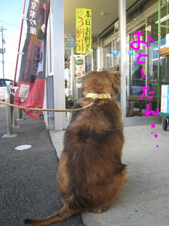 e0015964_22516100.jpg