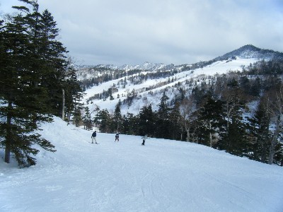 f0002265_21114631.jpg