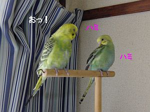 f0196665_0413837.jpg