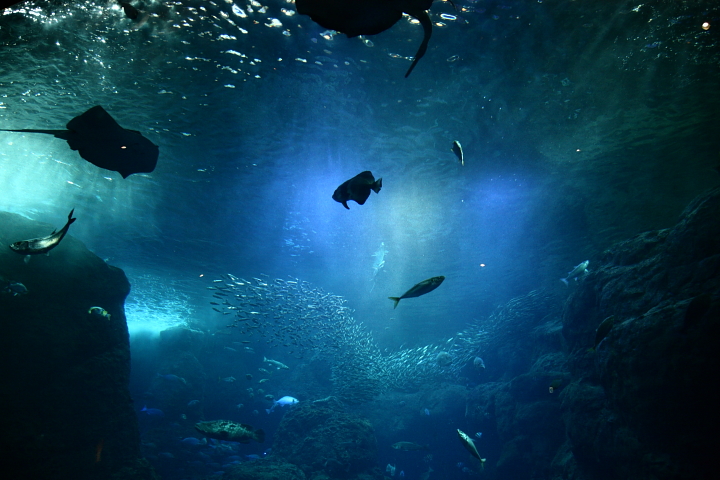 b0027267_22405534.jpg
