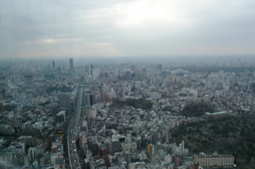e0095468_2149098.jpg