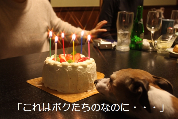 b0069169_19462025.jpg