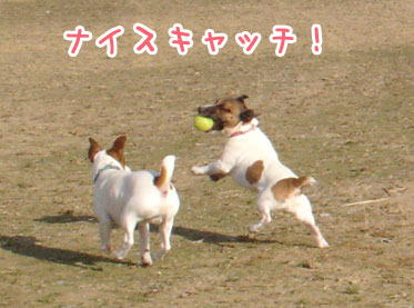 f0132772_20302853.jpg