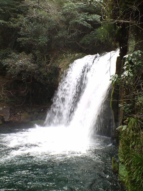 b0095673_932215.jpg