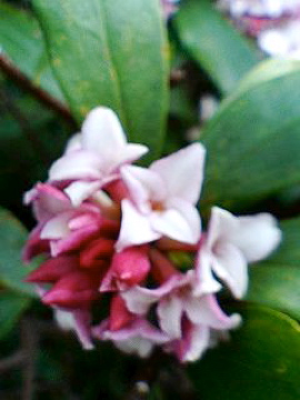 f0054677_10503685.jpg