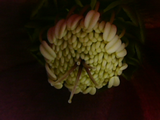 e0145782_17454711.jpg