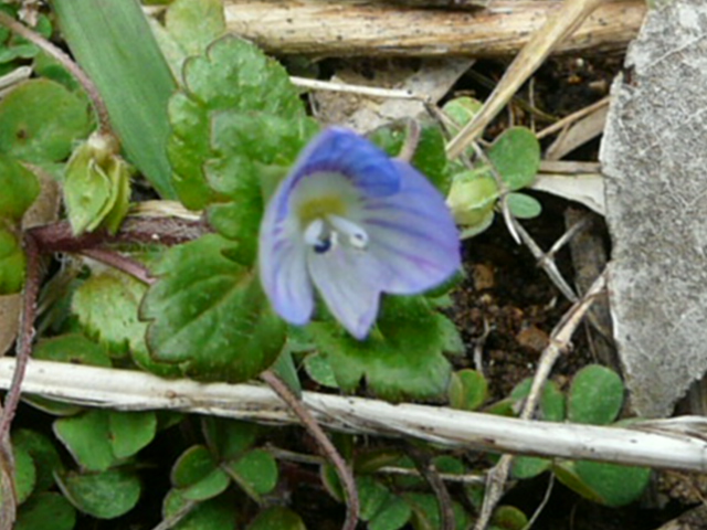 e0145782_17473271.jpg