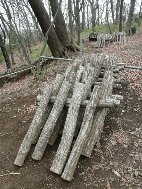 e0145782_17501126.jpg