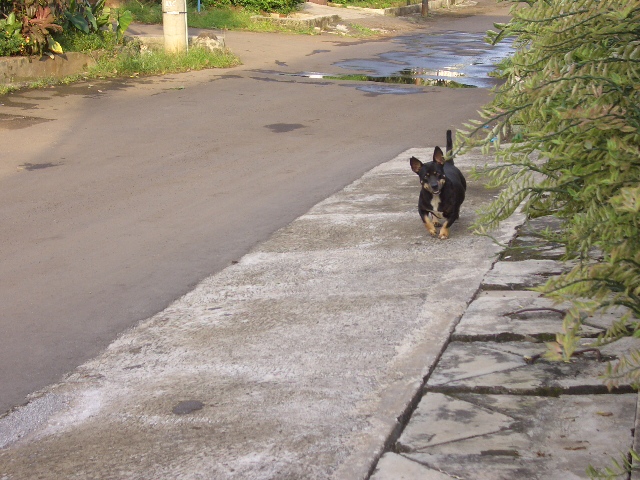 c0175883_20382836.jpg