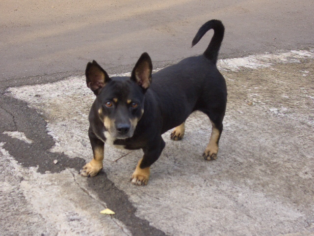 c0175883_2040344.jpg