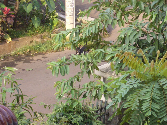 c0175883_20485927.jpg