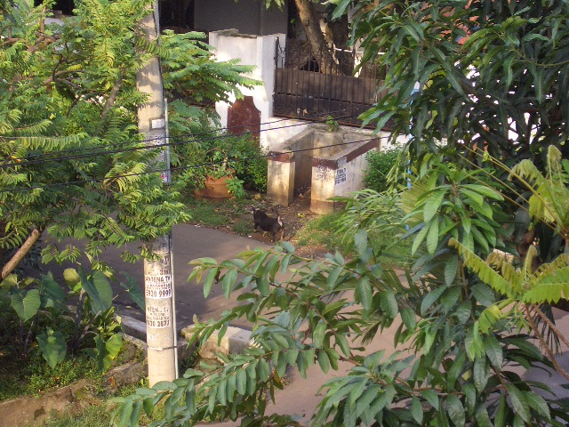 c0175883_20542327.jpg