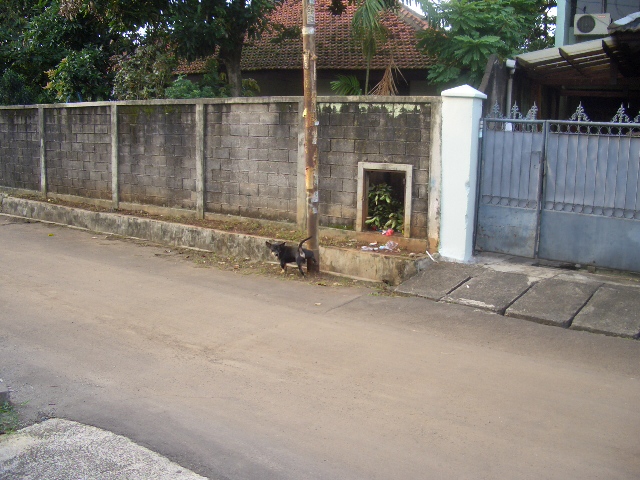 c0175883_21144770.jpg