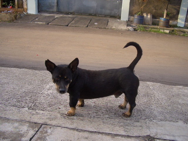 c0175883_2162020.jpg