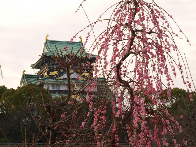 c0187587_1085712.jpg