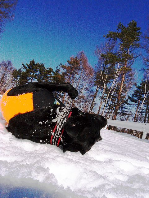 a0093592_0122712.jpg