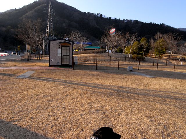 a0093592_0484078.jpg