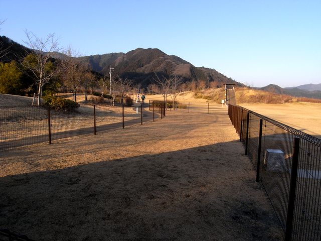 a0093592_0492421.jpg