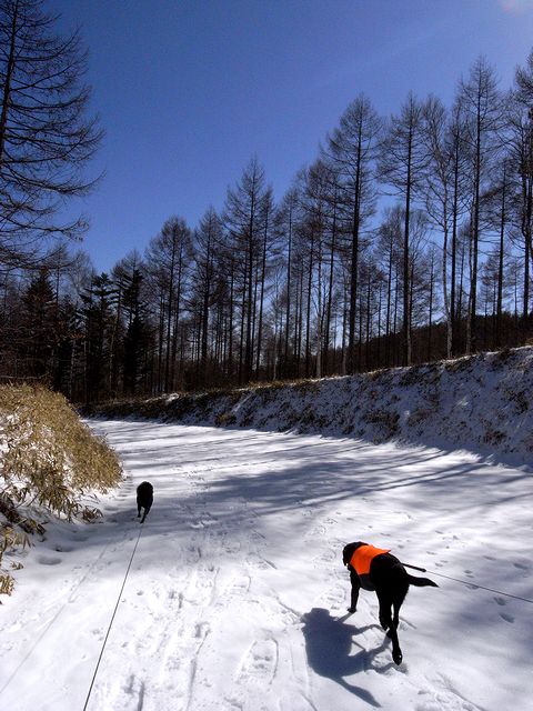 a0093592_052922.jpg