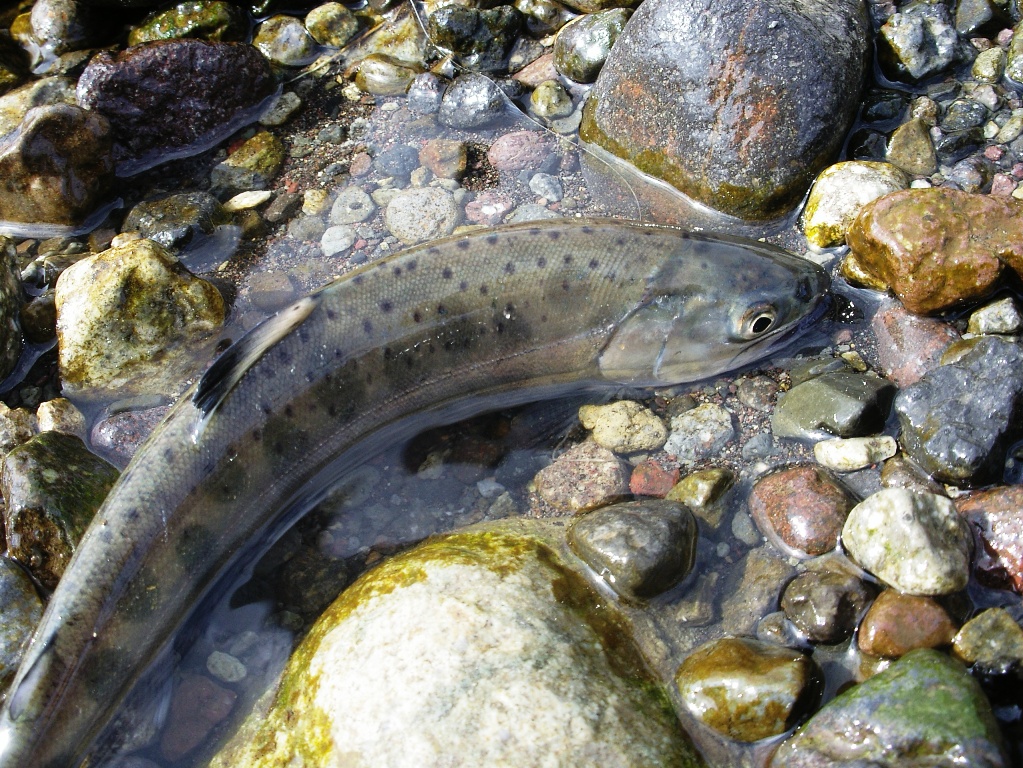 f0092492_2120131.jpg