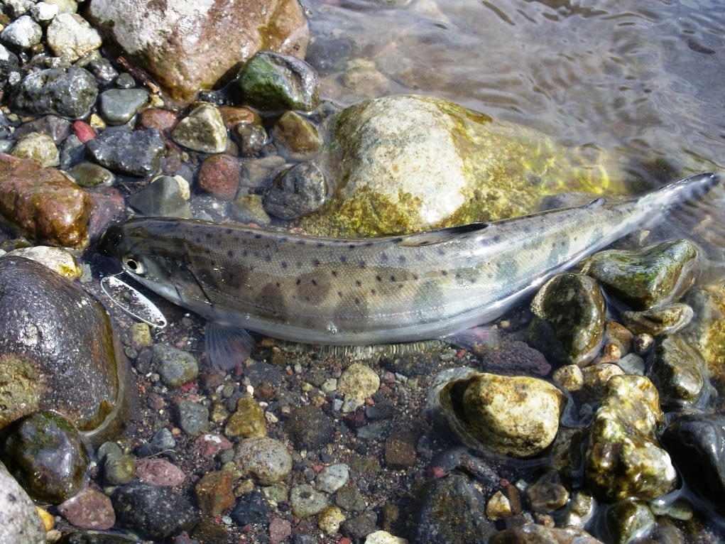 f0092492_21241858.jpg