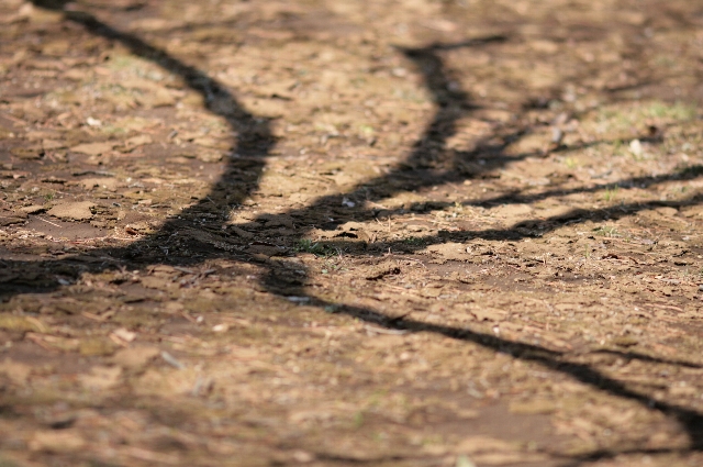 d0133693_21483581.jpg