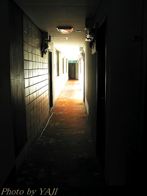 d0069495_231284.jpg