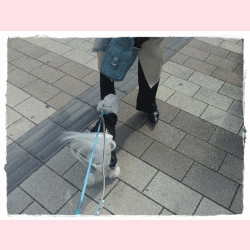 f0148595_20145654.gif