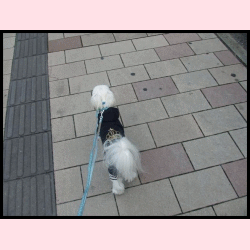 f0148595_2034693.gif