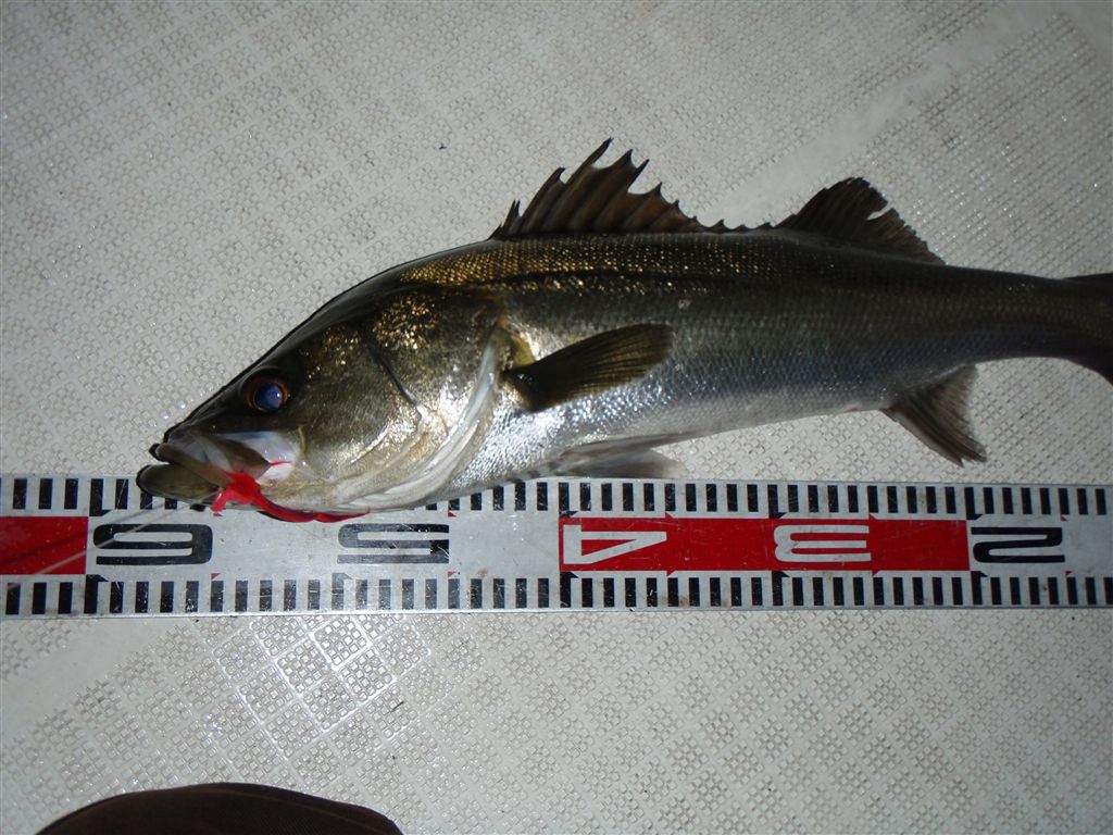 c0177497_12364541.jpg