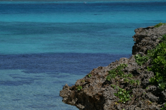 f0073398_1912665.jpg