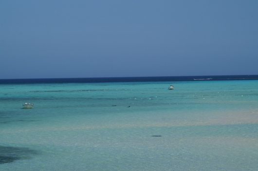 f0073398_19162090.jpg