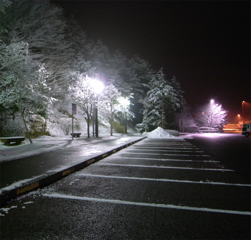 f0108399_11443825.jpg