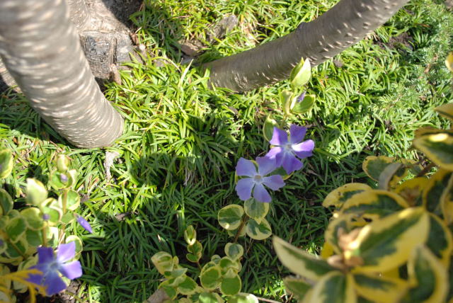 b0136300_1313822.jpg