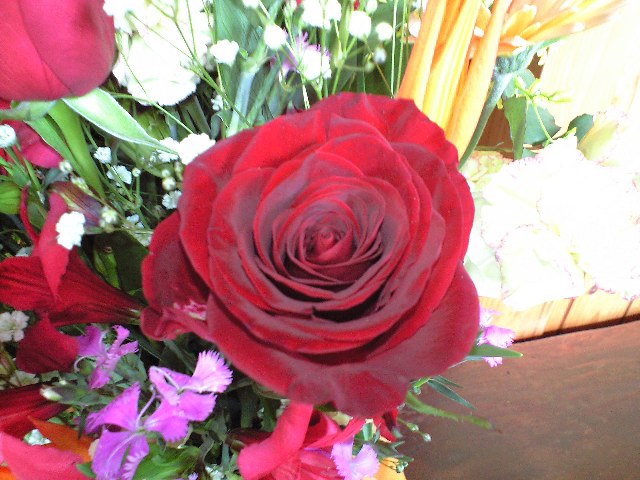 d0000607_11253517.jpg