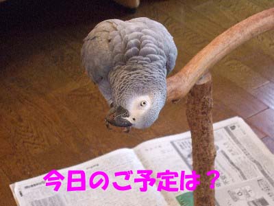 c0133013_10303831.jpg