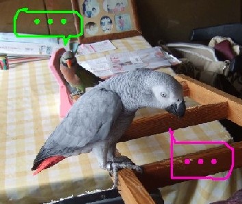 c0133013_11494975.jpg