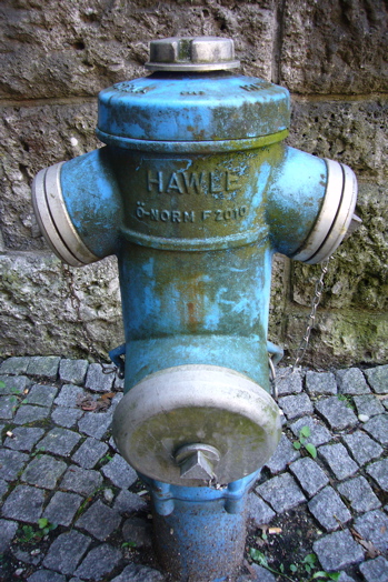 c0167813_548070.jpg